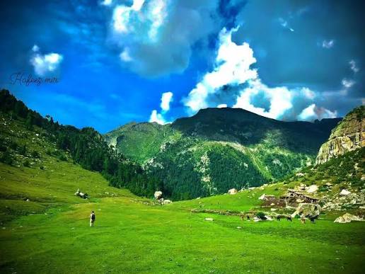 DIAMER